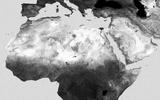 Afrika-Hintergrundbild_Wand-B