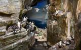 TdN T2N2 Vogelfelsen