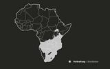 Afrika-Diorama-17b Verbreitungskarte Grevyzebra