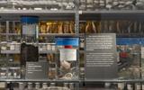Witwenkröte in der Schausammlung