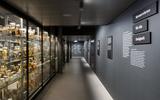 Texte in der Ausstellung Wunderkammer